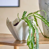 Rania stoneware plant pot