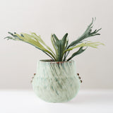 Dora glazed stoneware plant pot