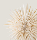 Elijas paper star with LED light, white