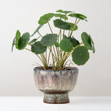 Luella Stoneware Flowerpot