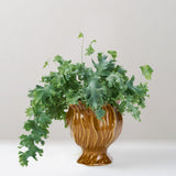 Ronia Stoneware medium pot