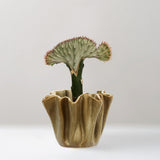 Gaia glazed stoneware plant pot, pre-order