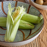 Heikki XL hand painted glazed stoneware bowl