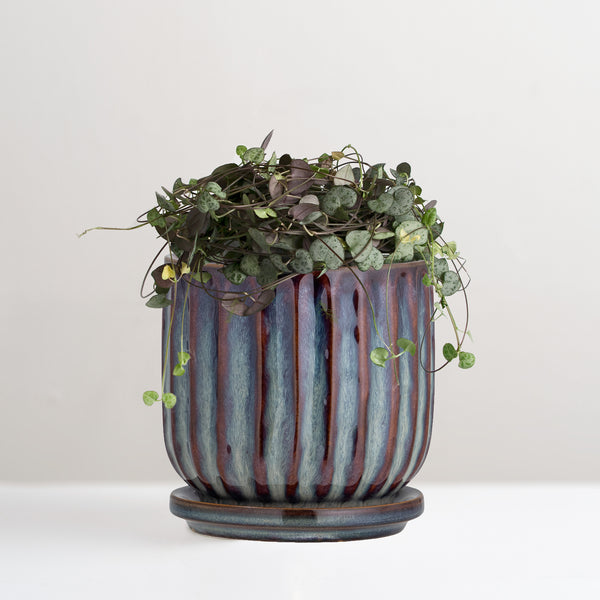 Drago blue stoneware plant pot with saucer