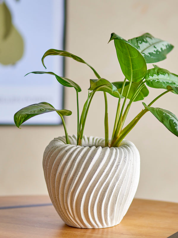 Maham stoneware plant pot