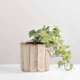 Anna-Li glazed stoneware plant pot
