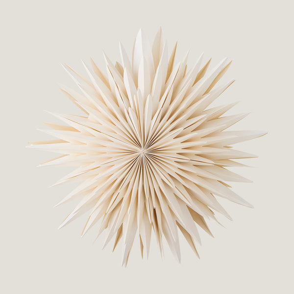 Elijas paper star with LED light, white