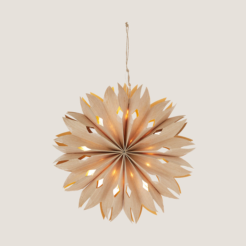 Frostig star ornament with LED light, natural