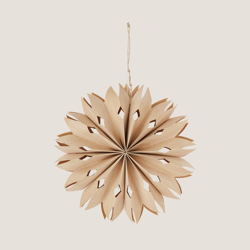 Frostig star ornament with LED light, natural