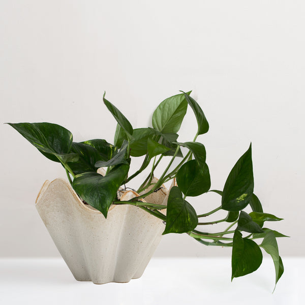 Rania stoneware plant pot