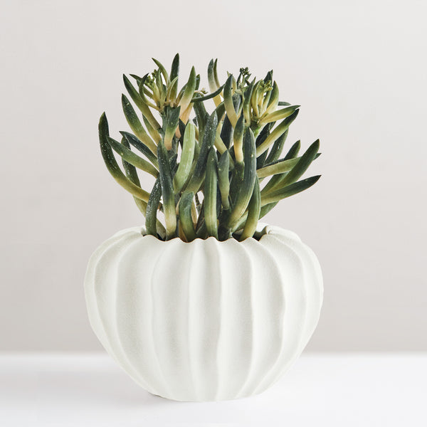 Vilma porcelain plant pot