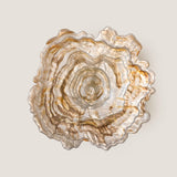 Asimi glass bowl