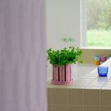 Clash Wiggle Planter, Pink & Red