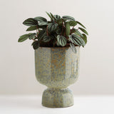 Frej handcrafted stoneware plant pot - Large