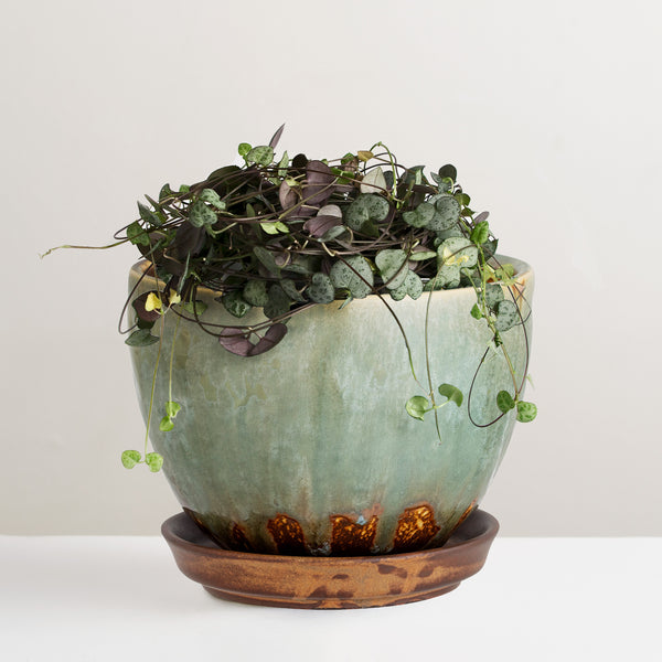 Betje green glazed plant pot with tray