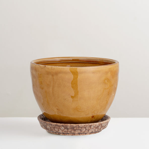 Betje mustard yellow glazed plant pot with tray