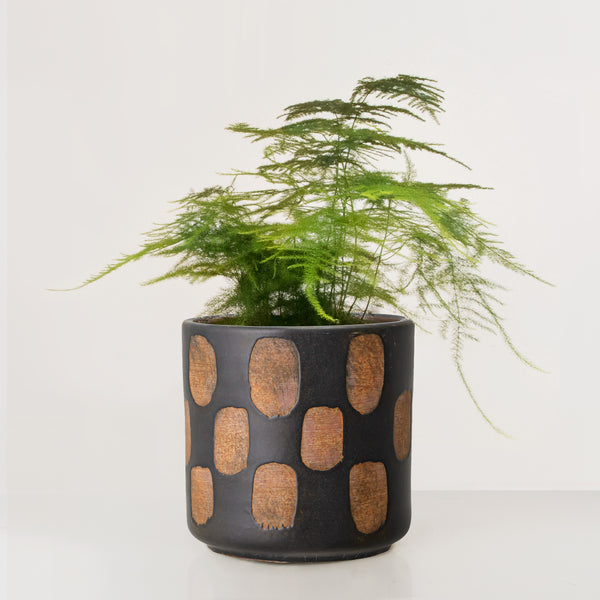 Handcrafted black glaze terracotta plant pot