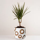 Handcrafted white glaze terracotta plant pot